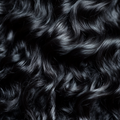 Burmese Curl - Bundle à l'unité